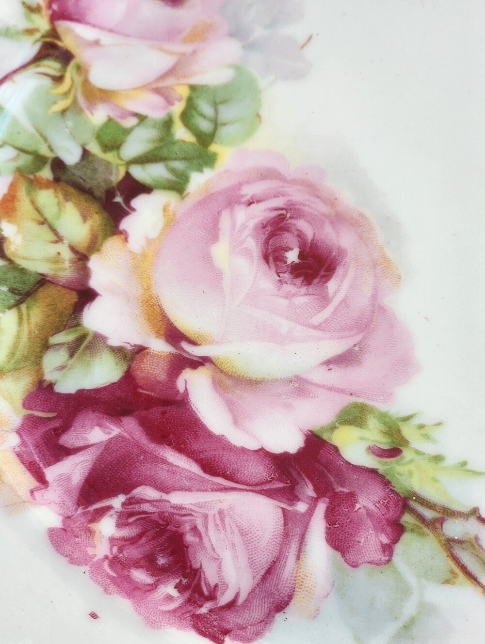 2 Vintage German Porcelain Rose Tea Plates - Picture 3 of 9